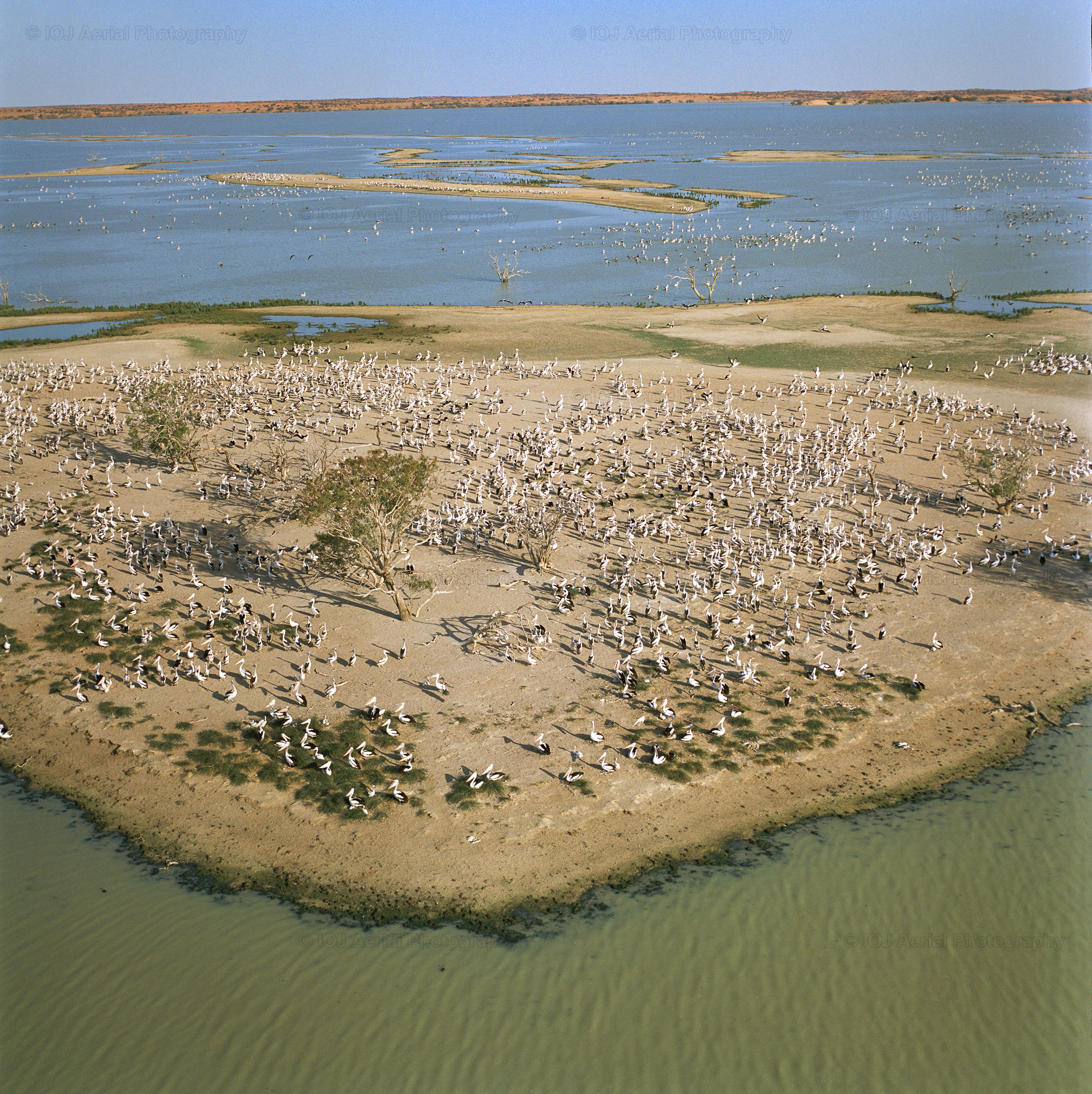 Lake Goyder & Pelican Island