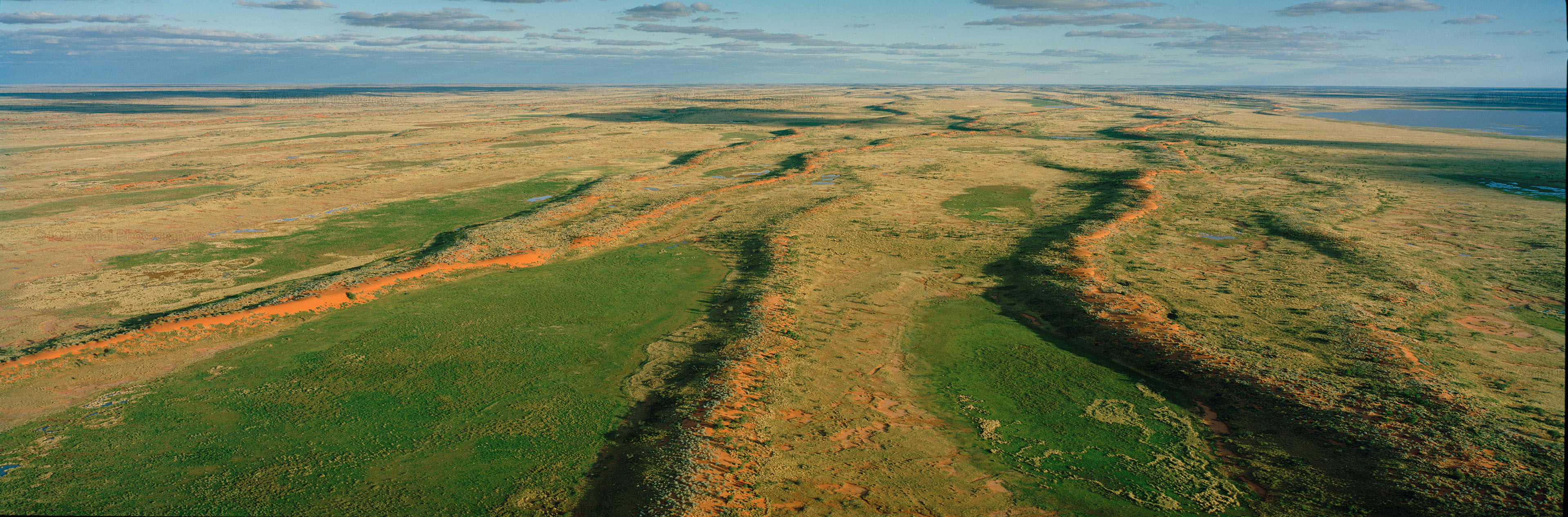 Strzelecki Desert